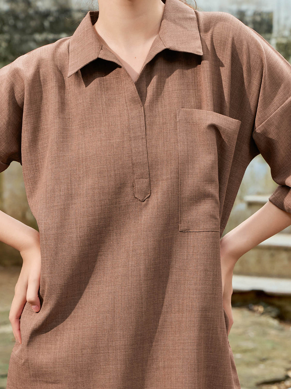 Women's Flared Brown Dress
