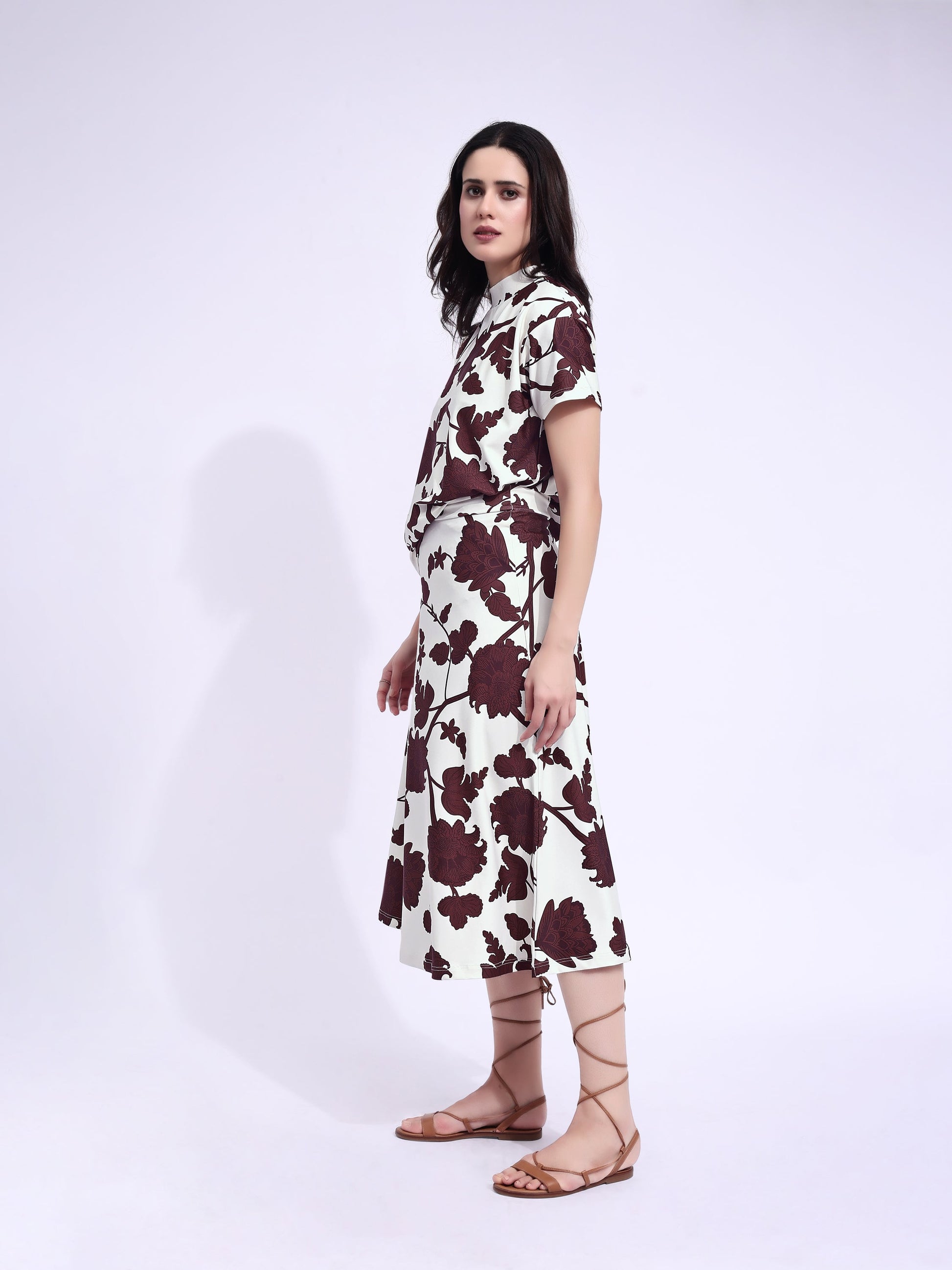 Women's Printed Regular Brown Co-Ords