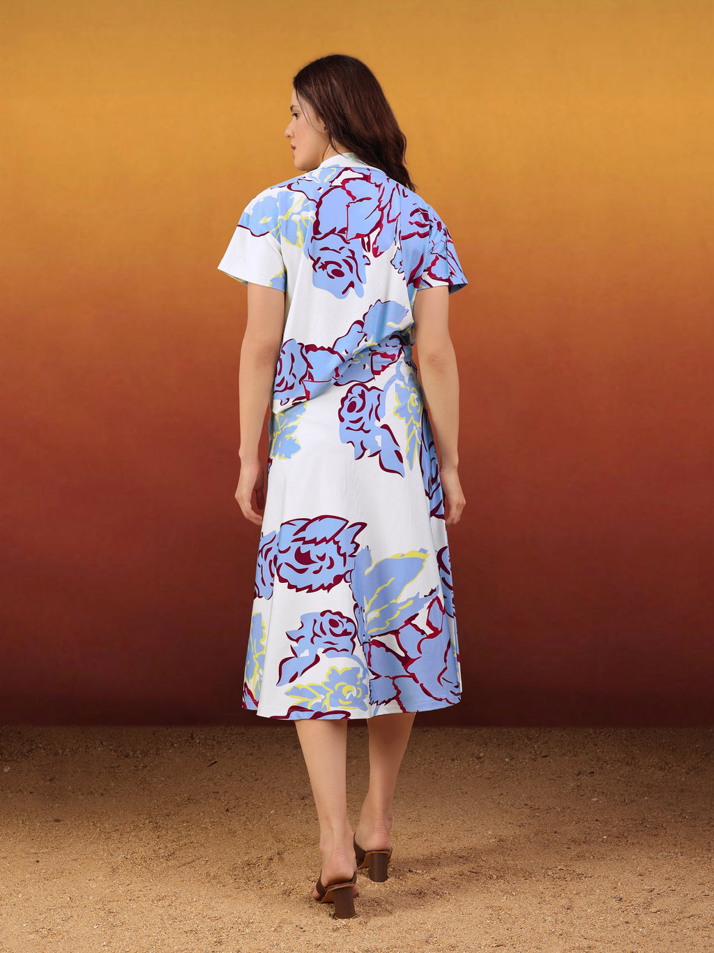 Women's Printed Regular Blue Co-Ords