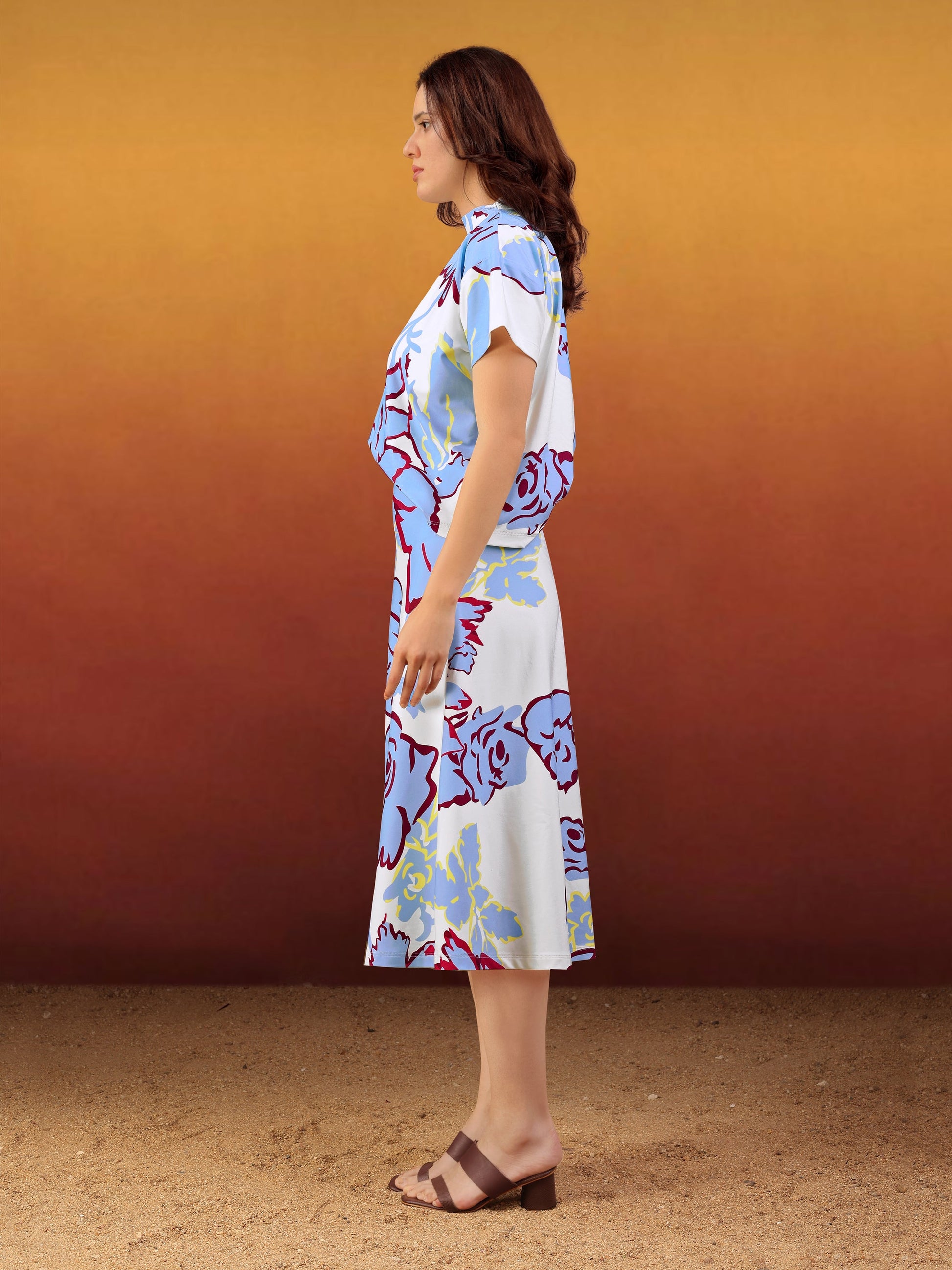 Women's Printed Regular Blue Co-Ords