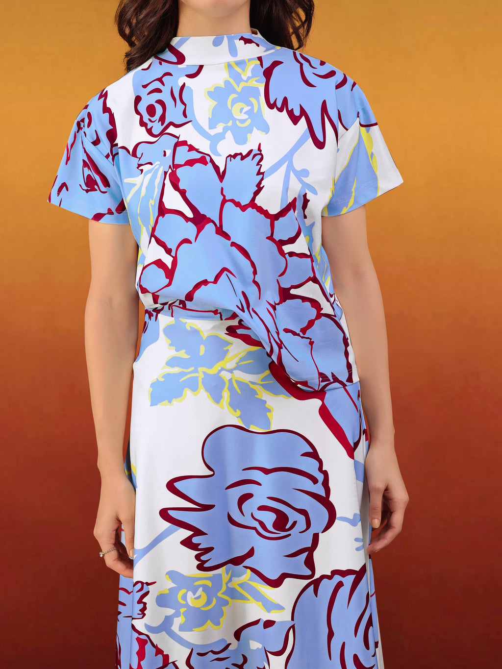 Women's Printed Regular Blue Co-Ords