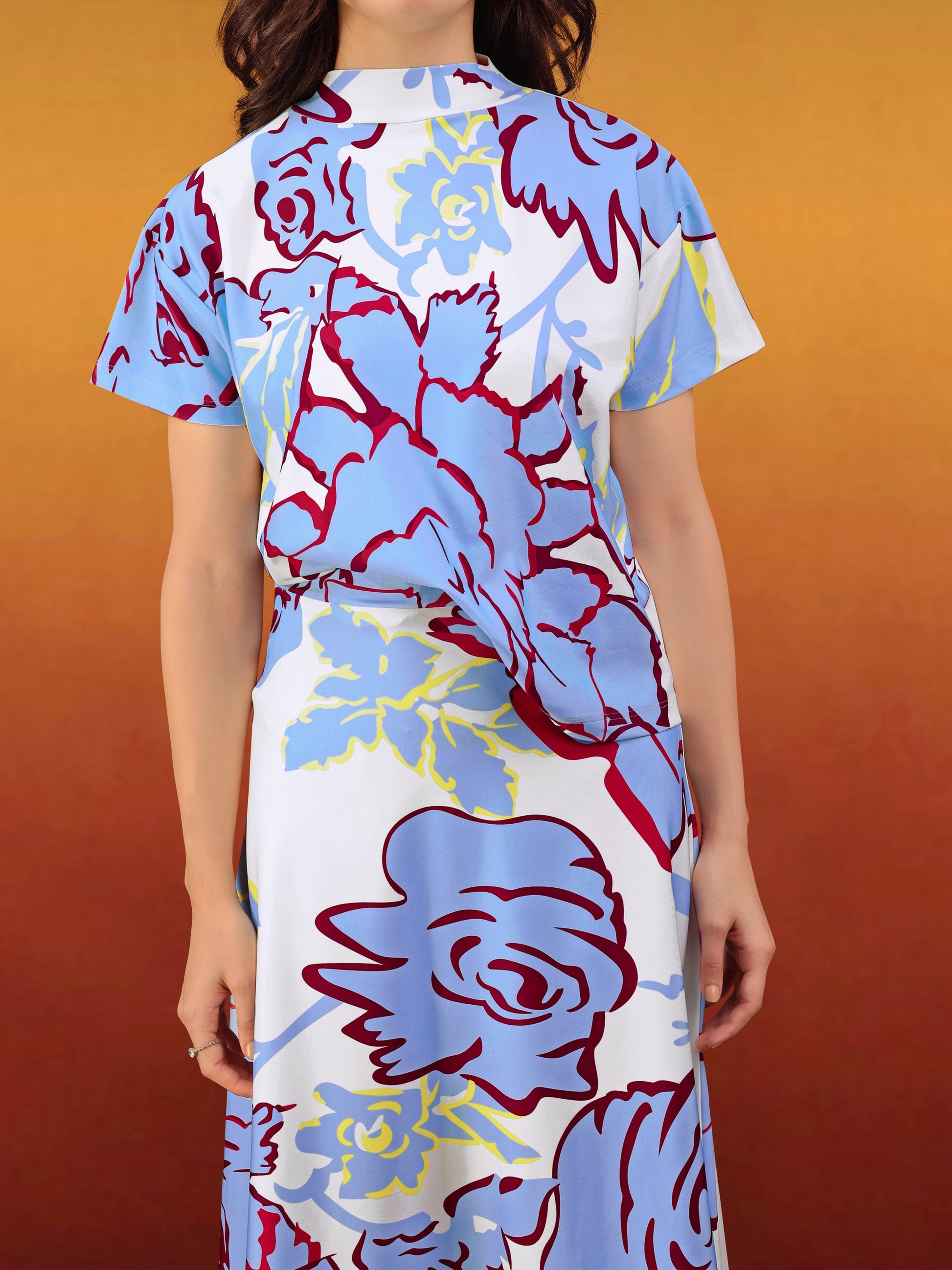Women's Printed Regular Blue Co-Ords