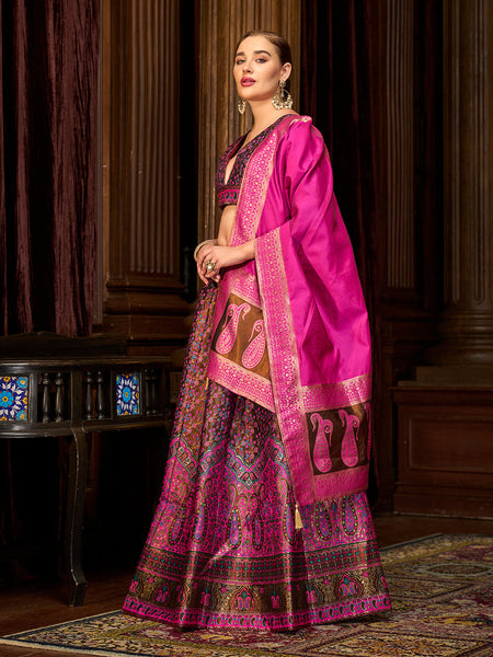 Nadira-Brown Brown Lehenga Choli