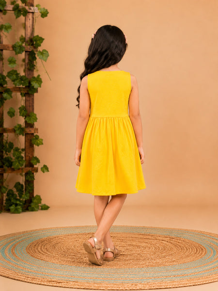 Fit & Flare Above Knee Sleeveless V-Neck Solid Dress-PJ-103