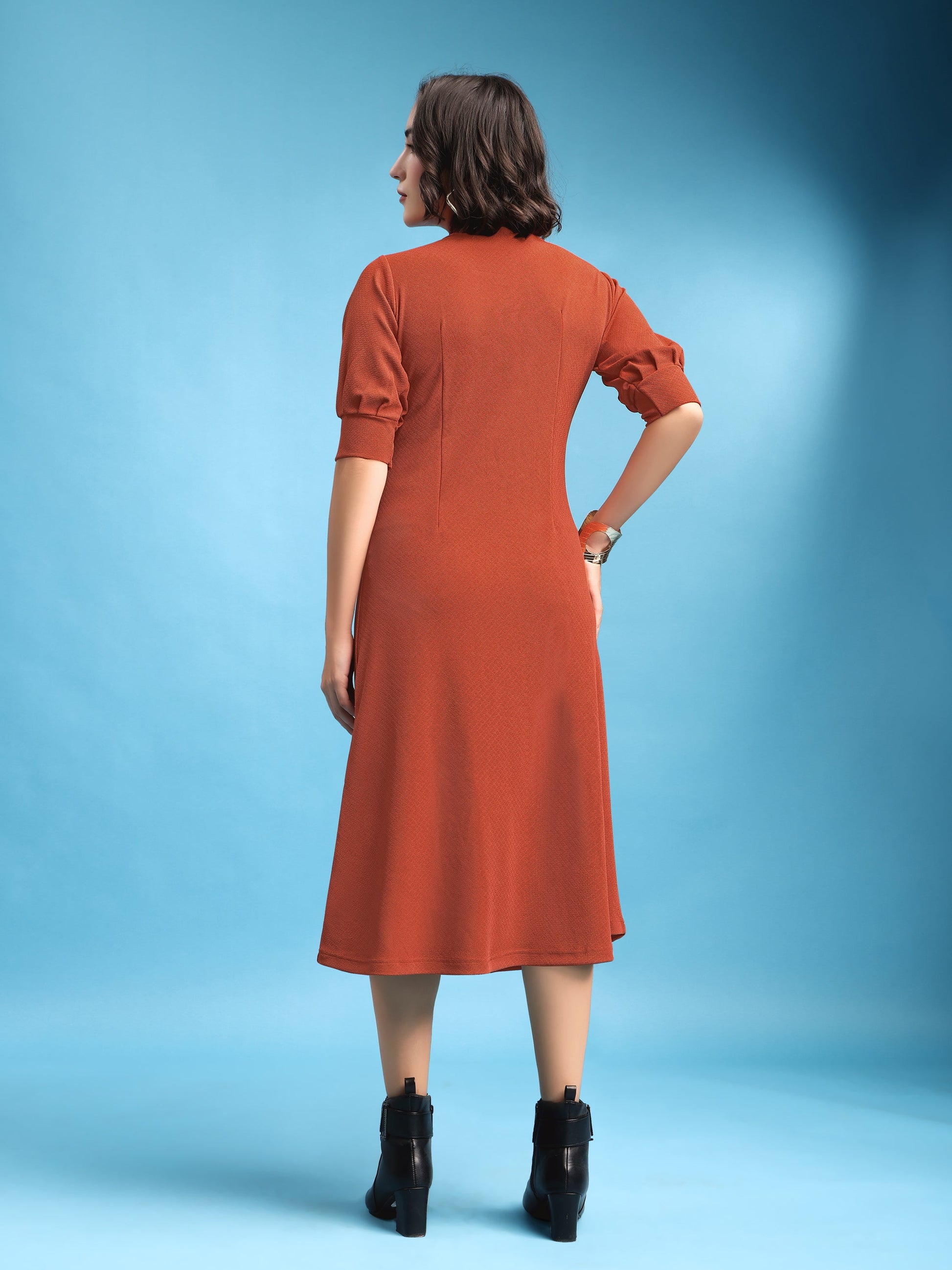 A-line Below Knee Bishop Sleeve High Neck Solid Dress