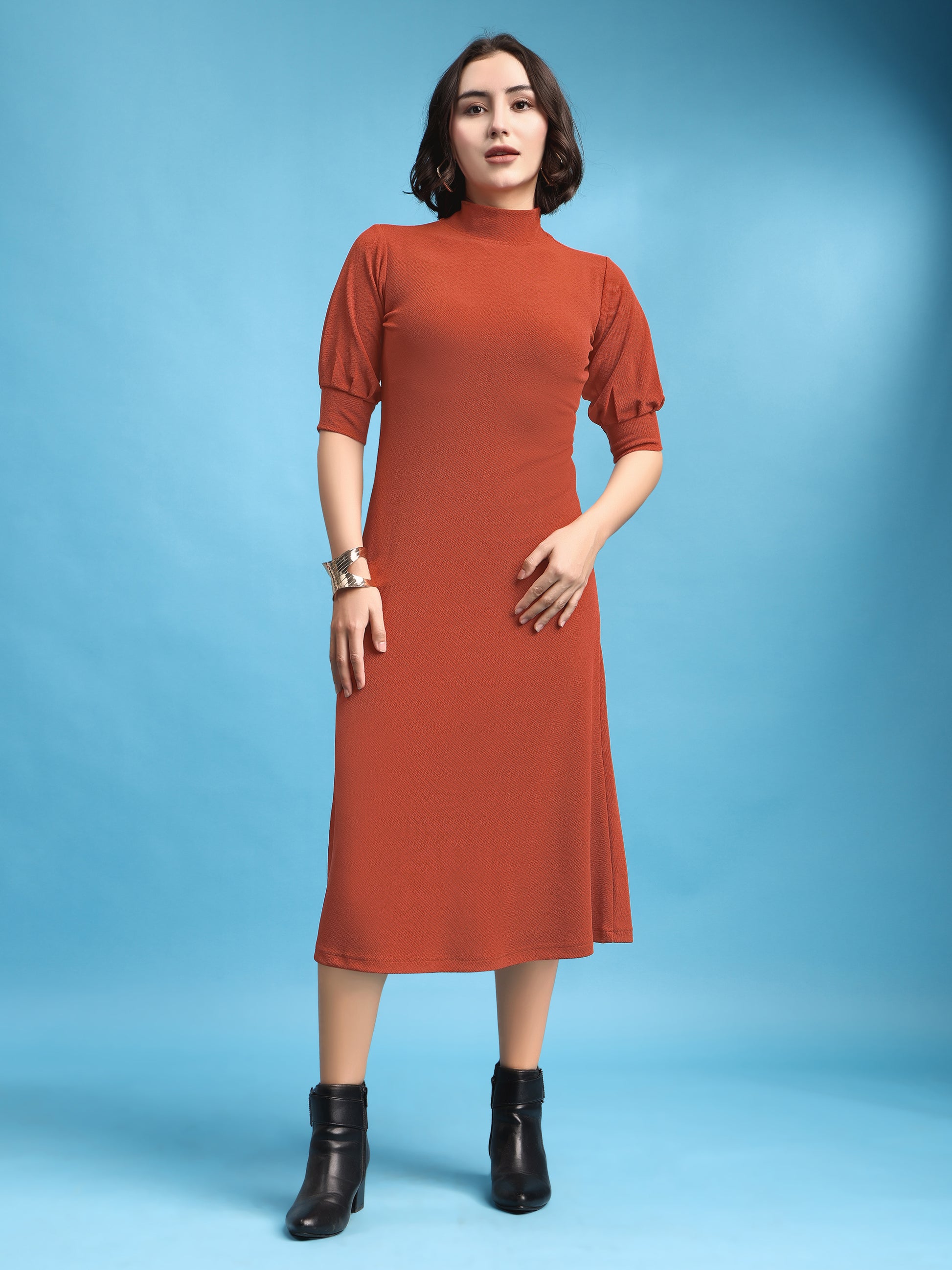 A-line Below Knee Bishop Sleeve High Neck Solid Dress