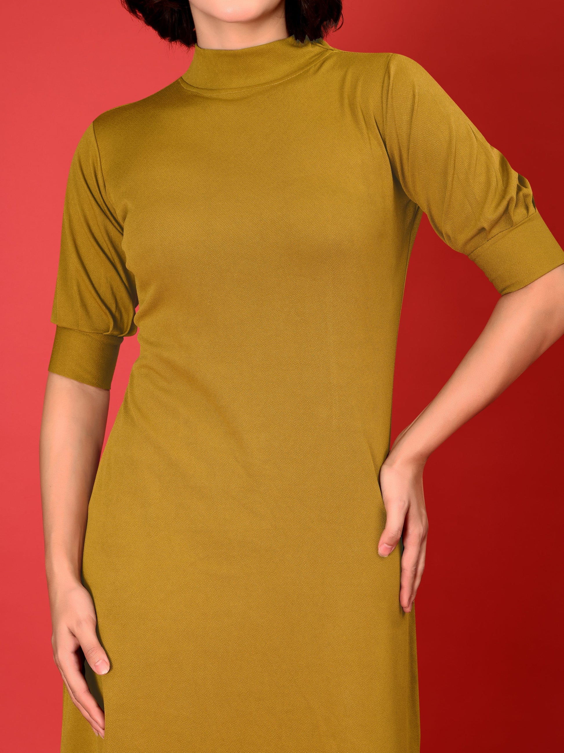 A-line Below Knee Bishop Sleeve High Neck Solid Dress