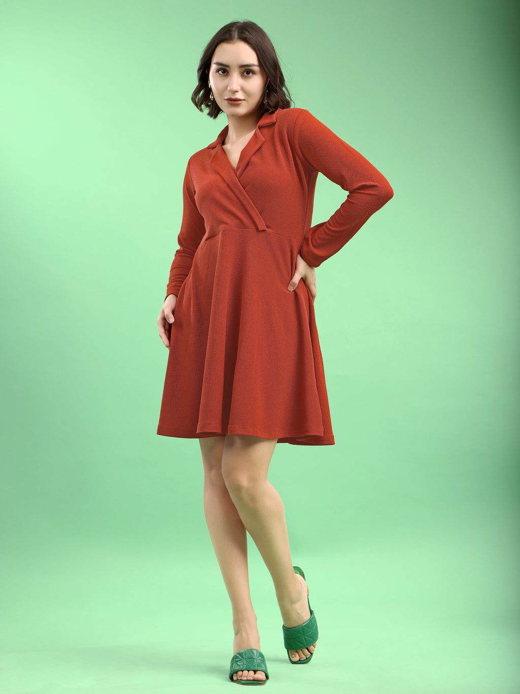 Fit and Flare Mini/Short Regular Sleeves Mandarin Collar Solid Dress