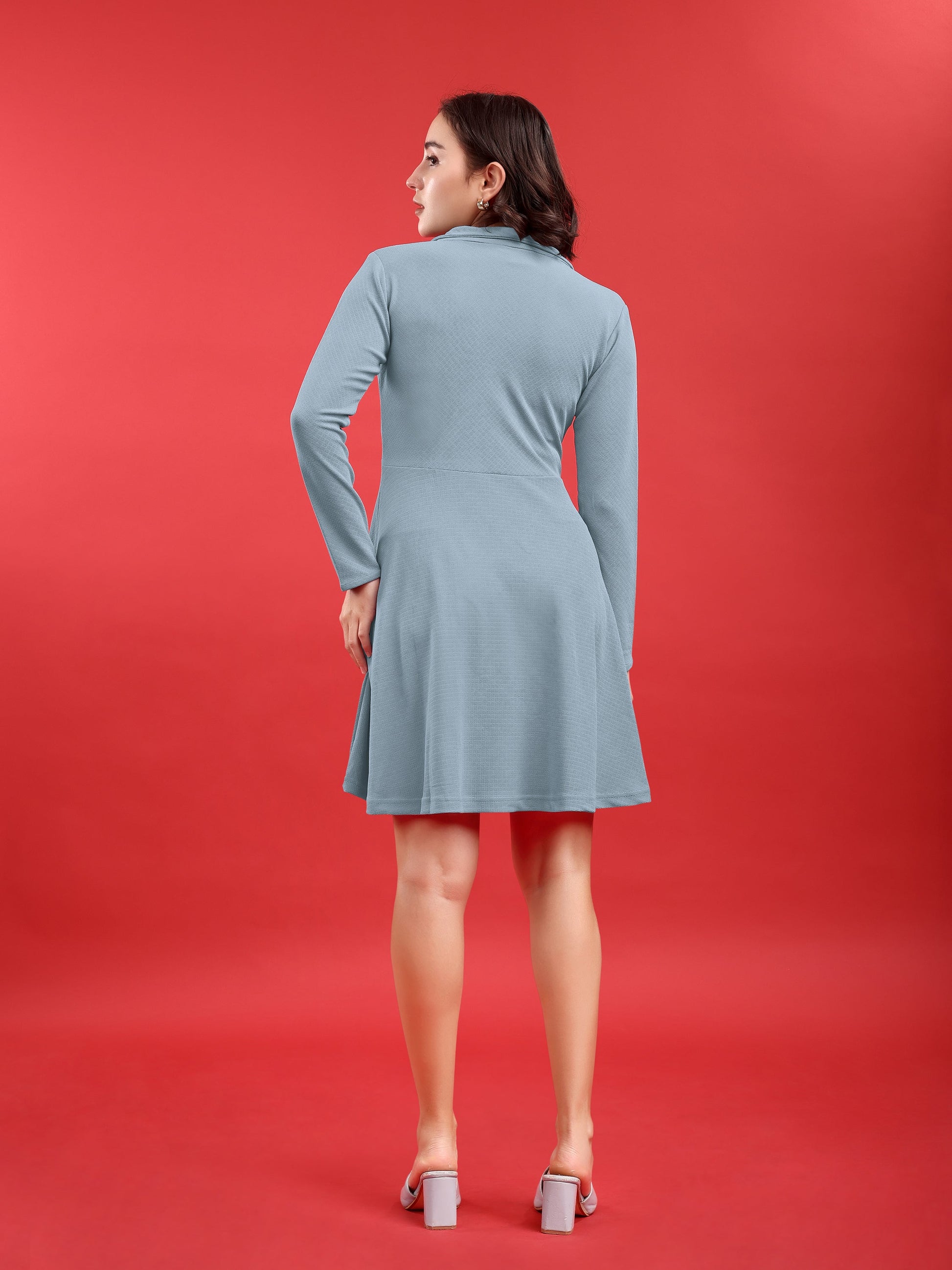 Fit and Flare Mini/Short Regular Sleeves Mandarin Collar Solid Dress