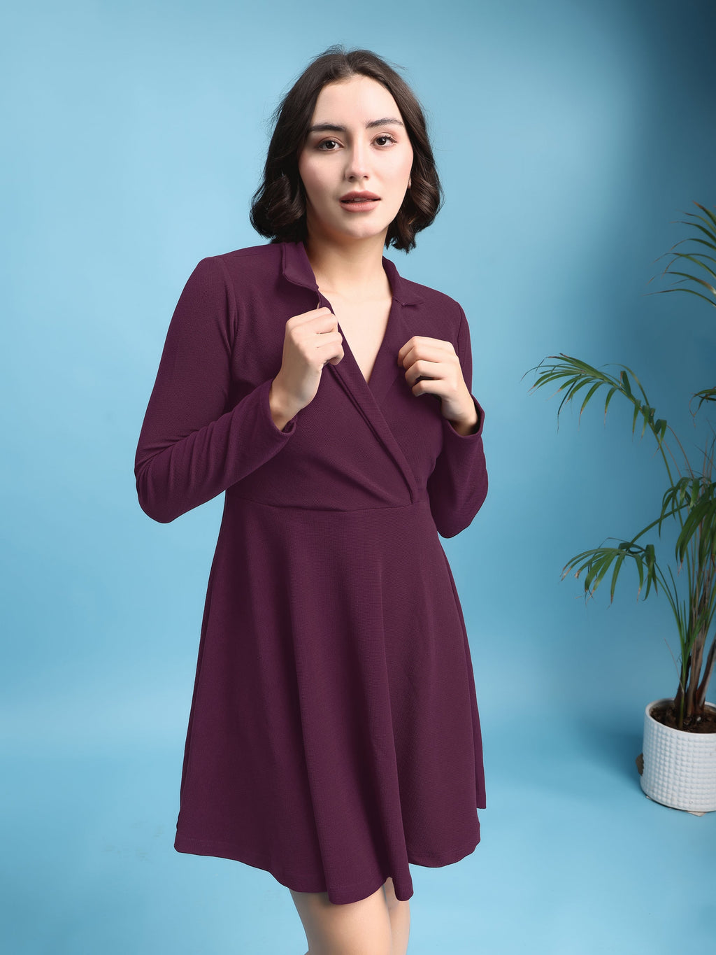 Fit and Flare Mini/Short Regular Sleeves Mandarin Collar Solid Dress