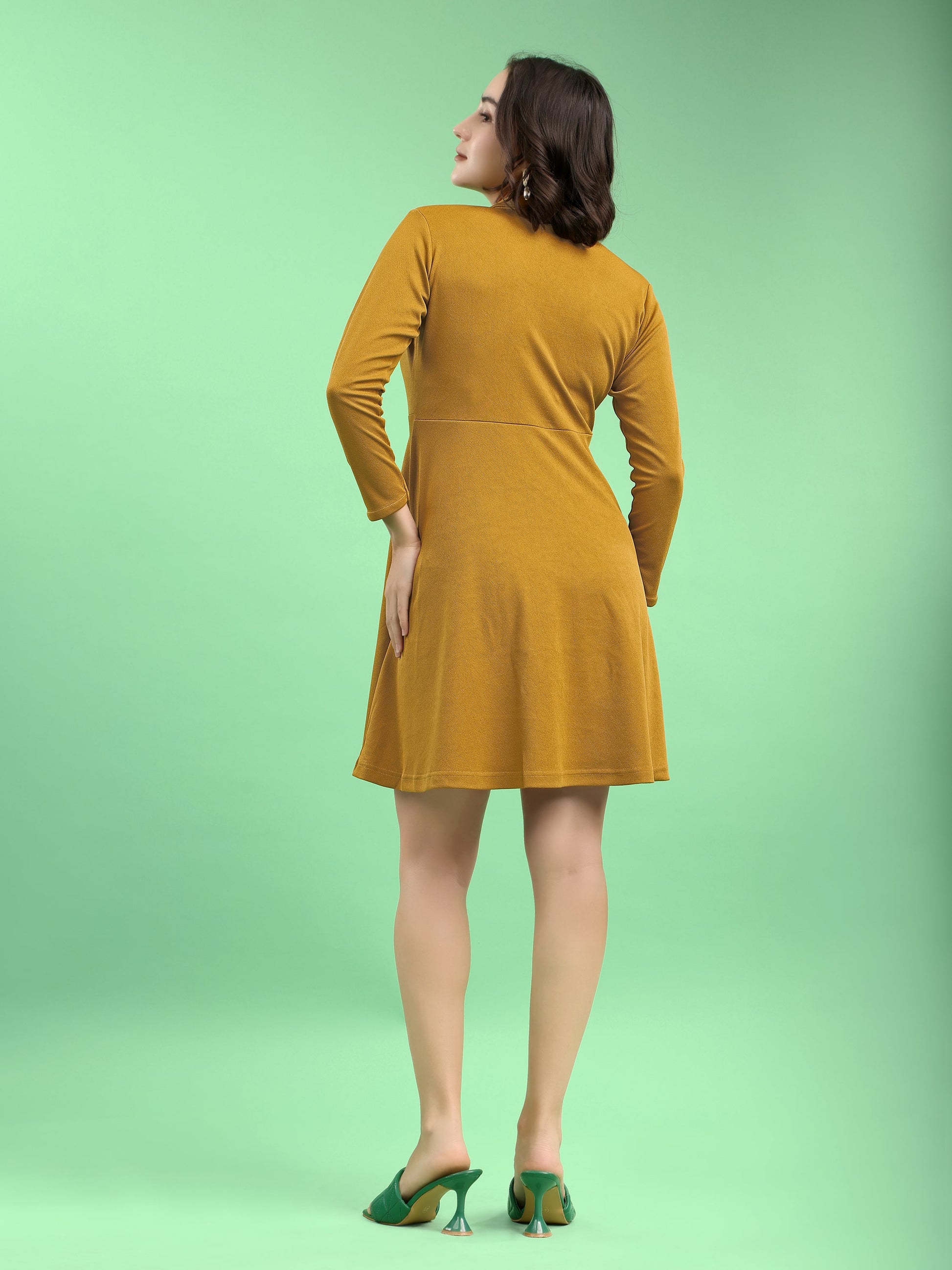 Fit and Flare Mini/Short Regular Sleeves Mandarin Collar Solid Dress