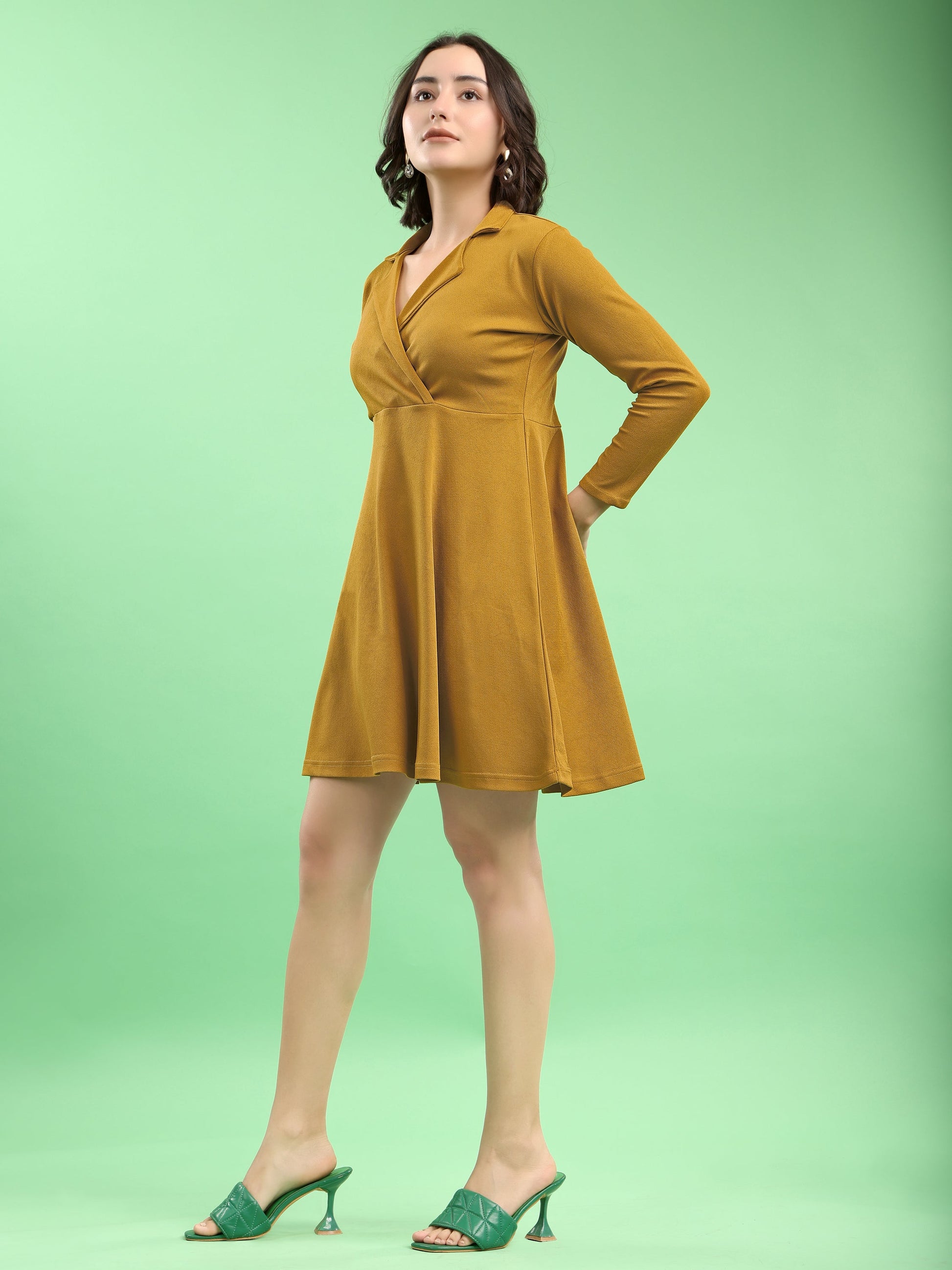 Fit and Flare Mini/Short Regular Sleeves Mandarin Collar Solid Dress