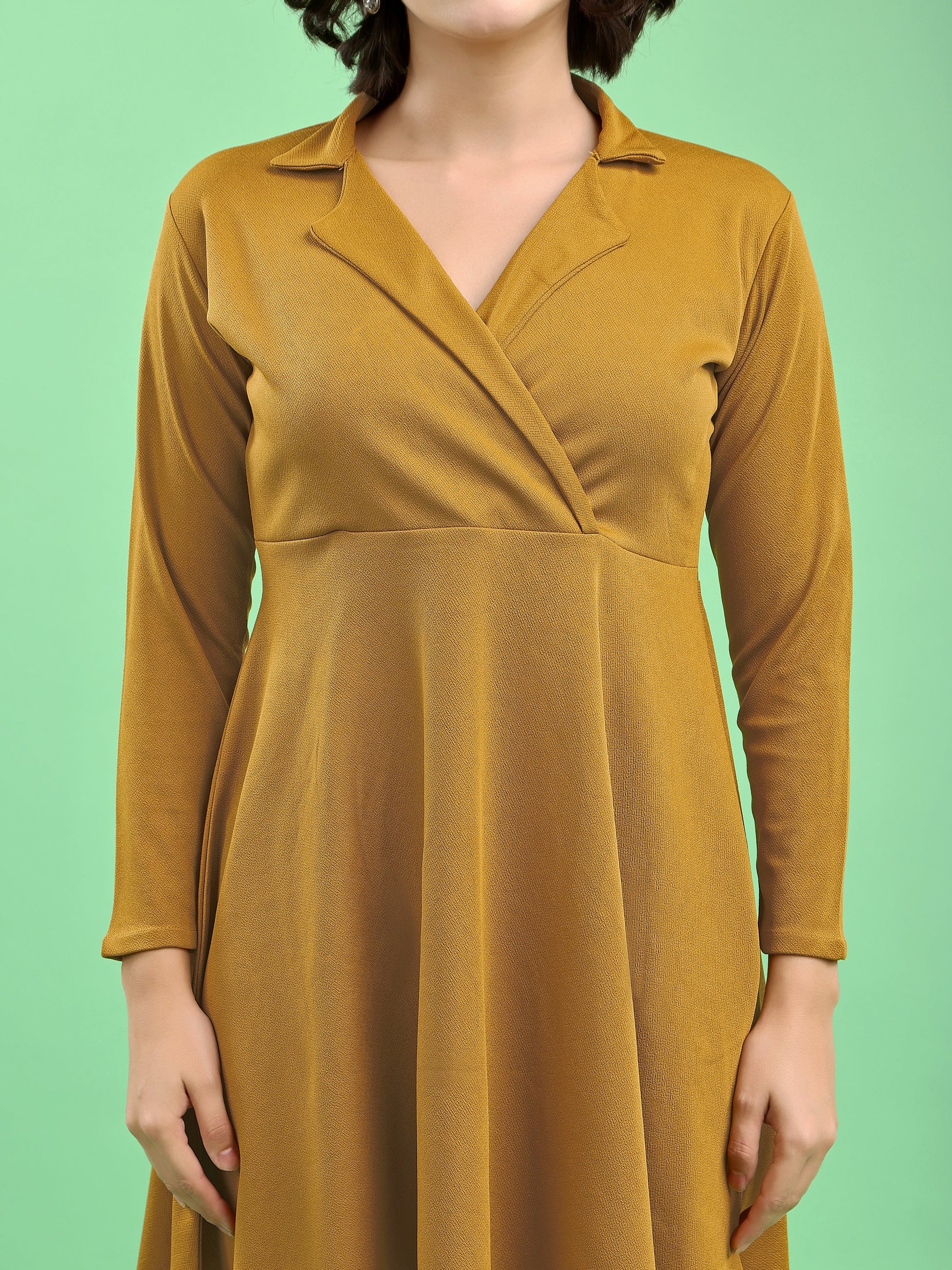 Fit and Flare Mini/Short Regular Sleeves Mandarin Collar Solid Dress