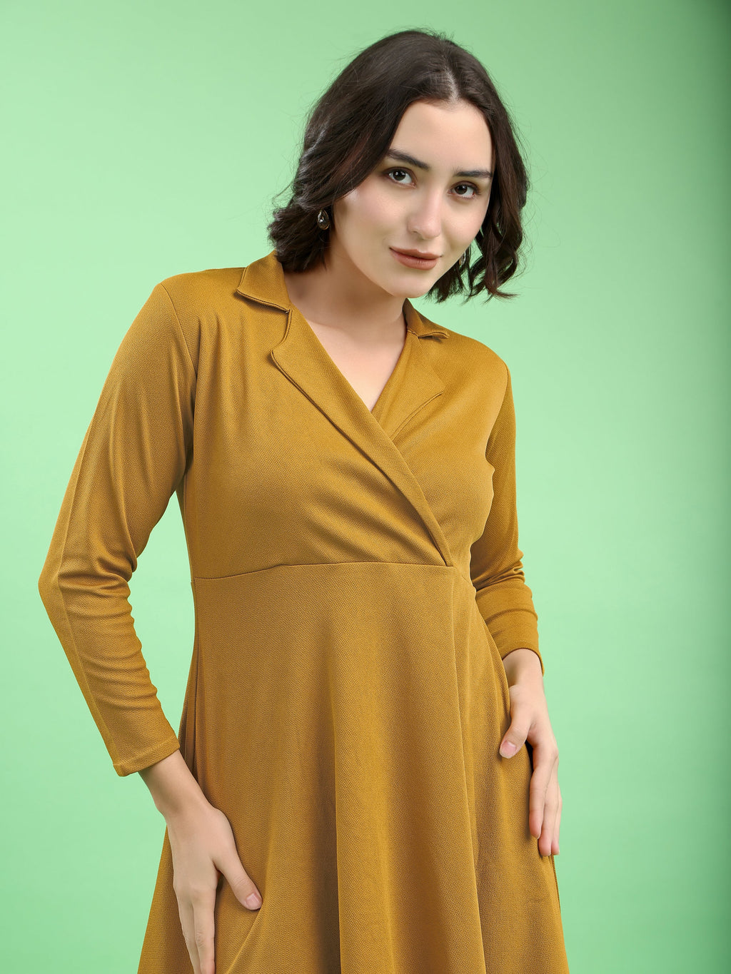 Fit and Flare Mini/Short Regular Sleeves Mandarin Collar Solid Dress