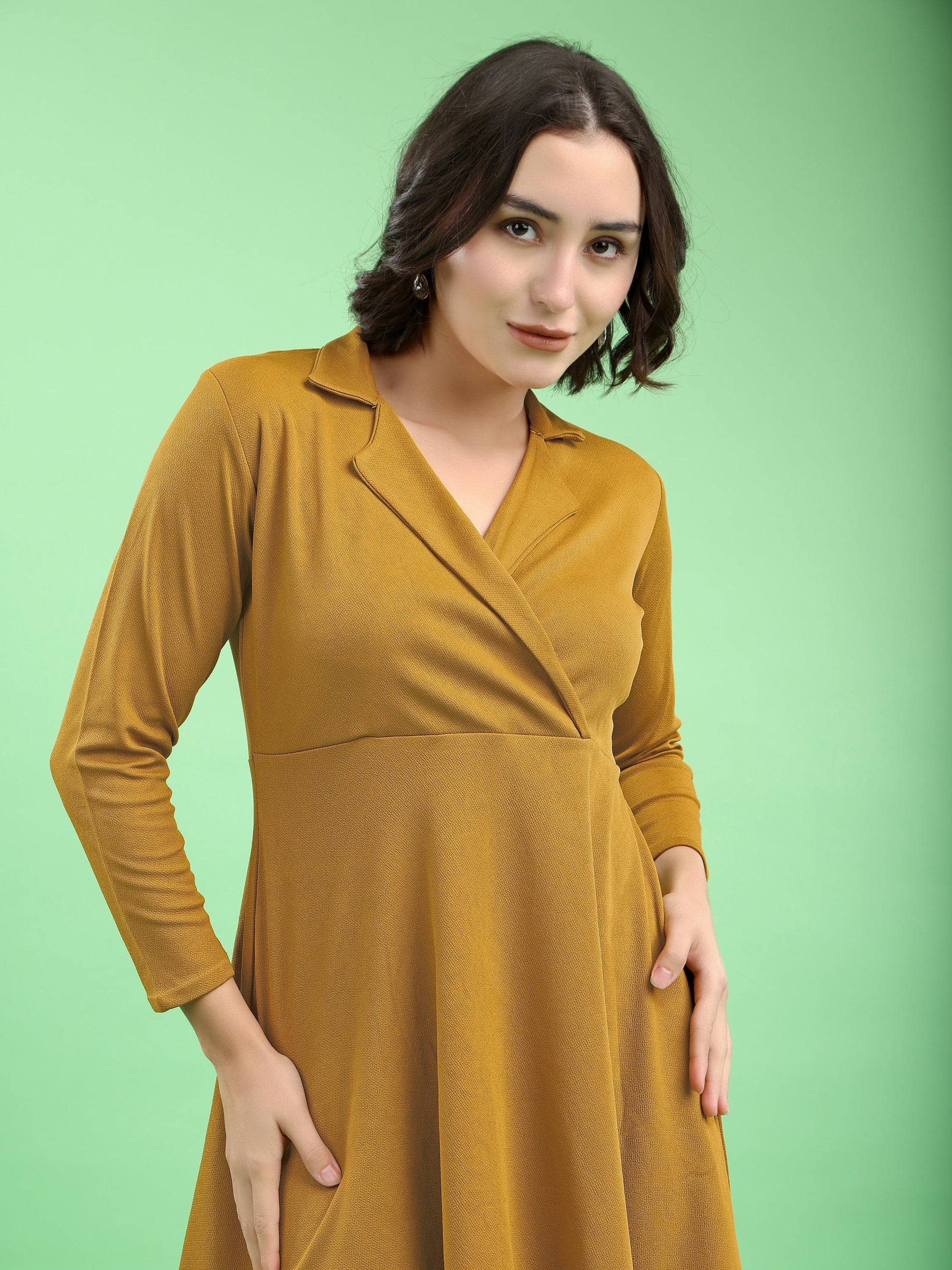 Fit and Flare Mini/Short Regular Sleeves Mandarin Collar Solid Dress