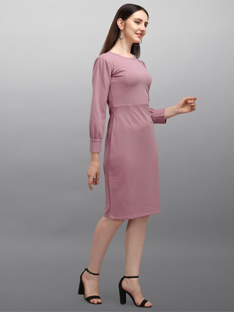 Women Purple Bodycon dress