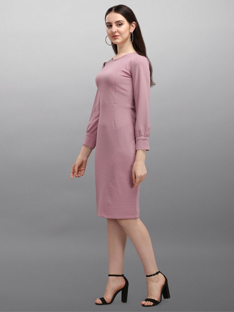 Women Purple Bodycon dress