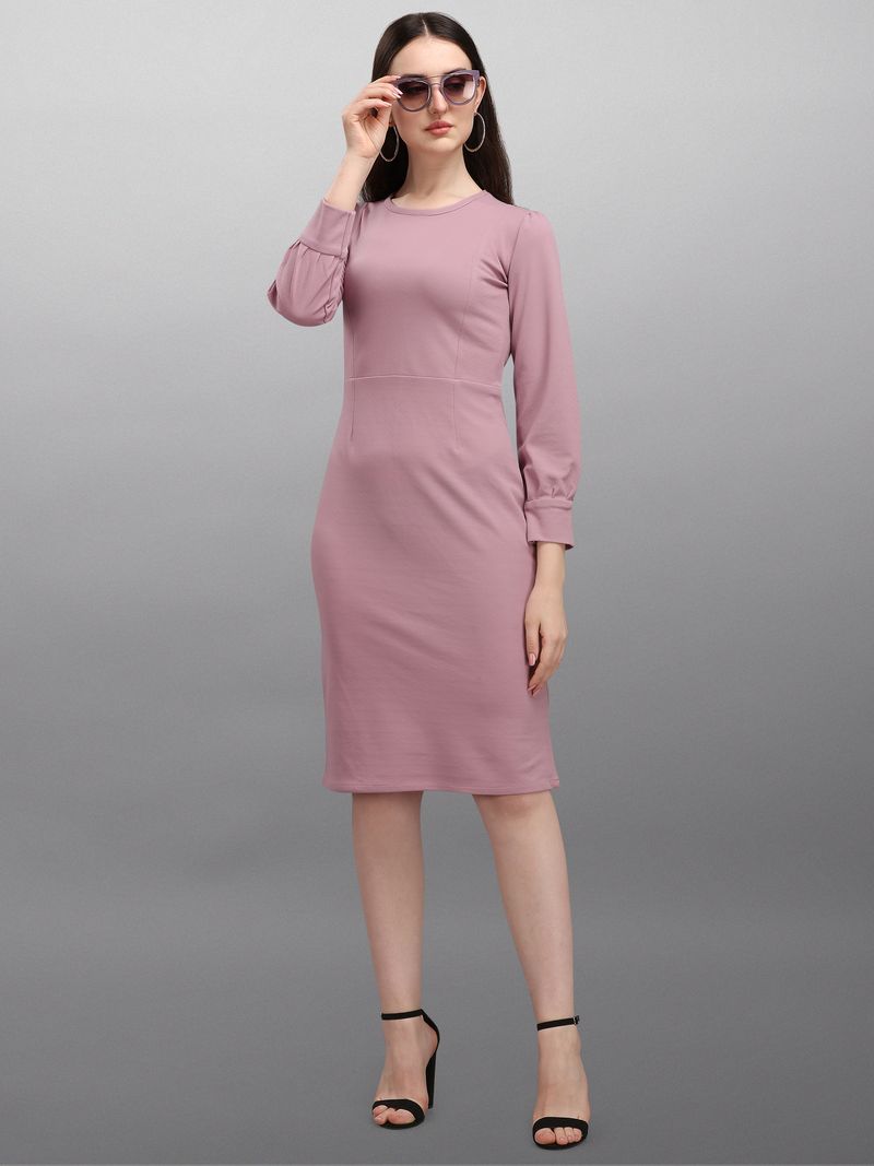 Women Purple Bodycon dress