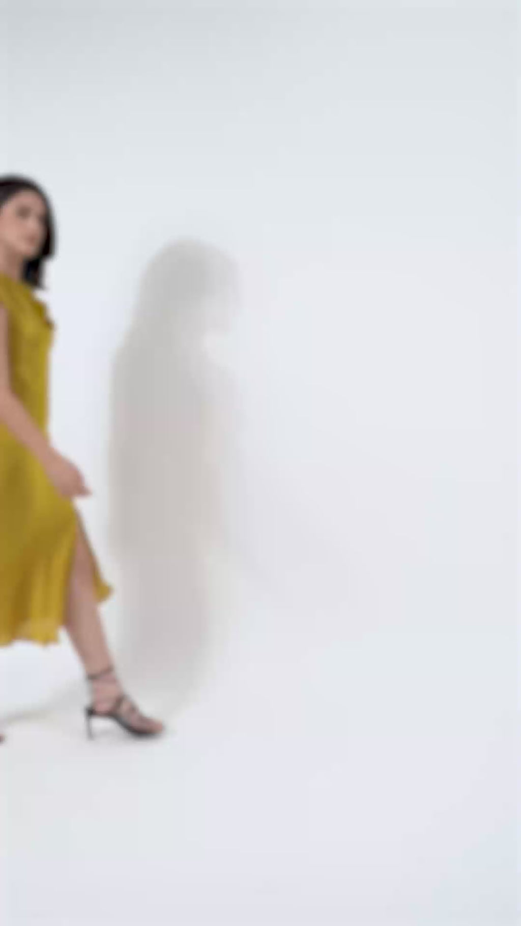 Women Fit & Flared Black Mustard Dress