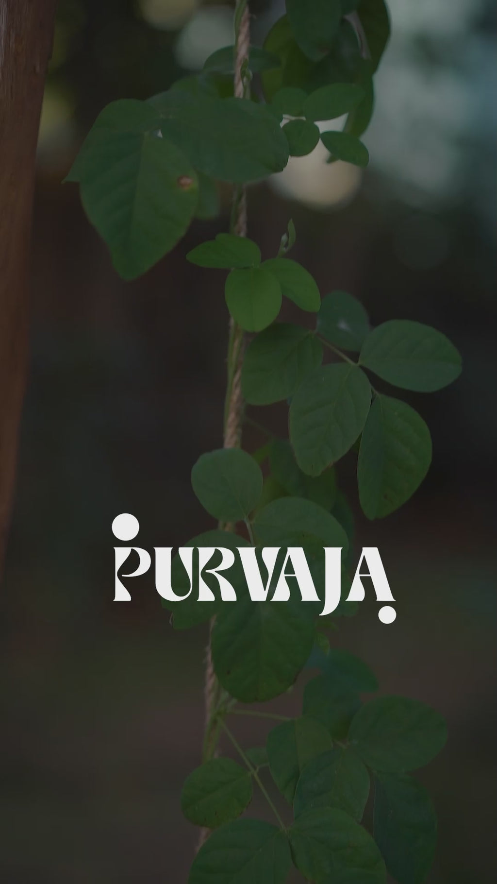 Women Yellow Bodycon Co-ords