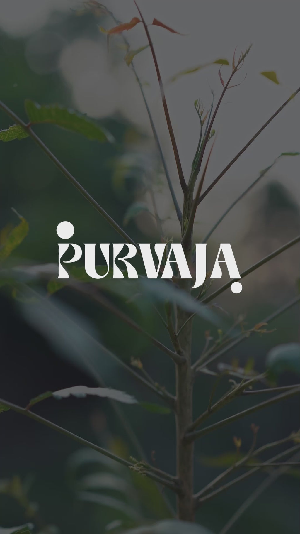 Women Lemon Bodycon Co-ords