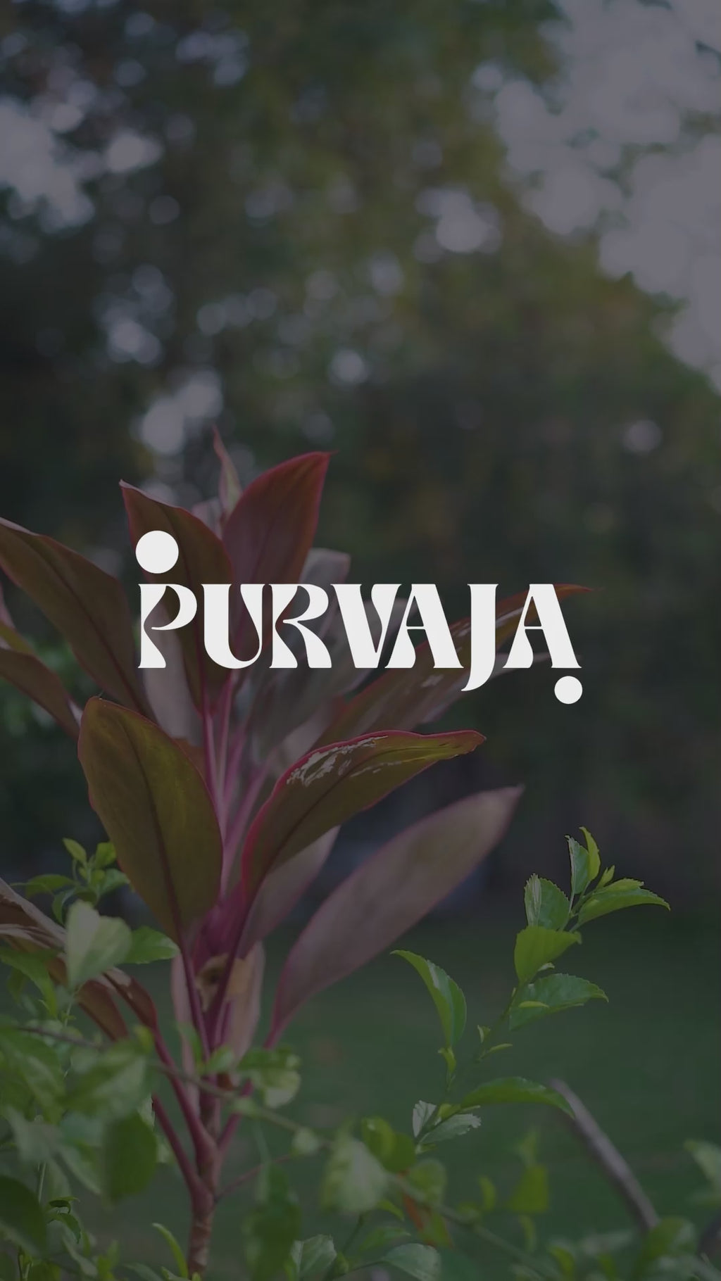 Women Lilac Bodycon Co-ords